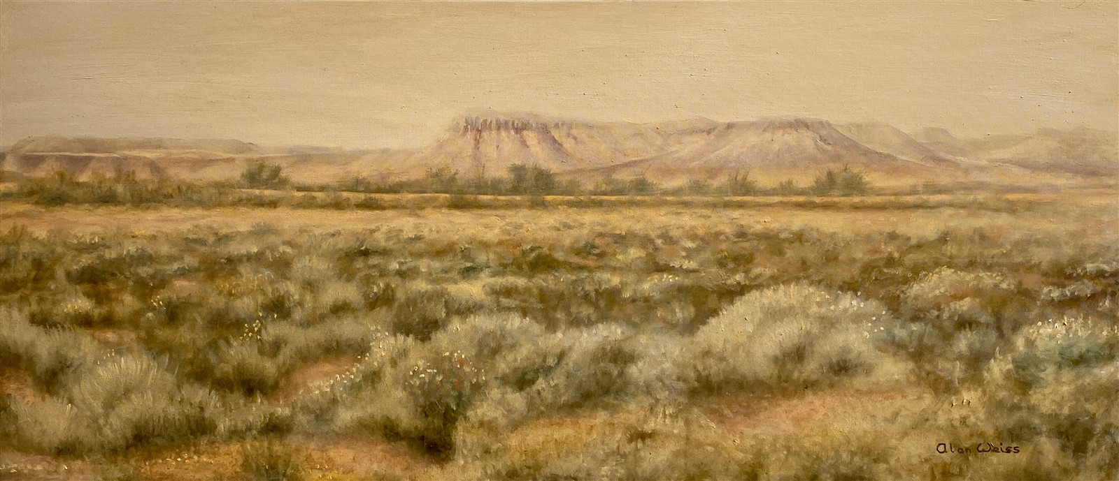 Desolation (1600 x 689)